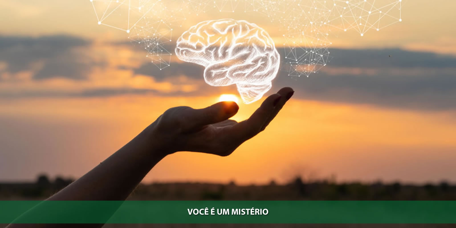 Figura 3 - AUTOCONHECIMENTO. O PRIMEIRO PASSO DO SUCESSO